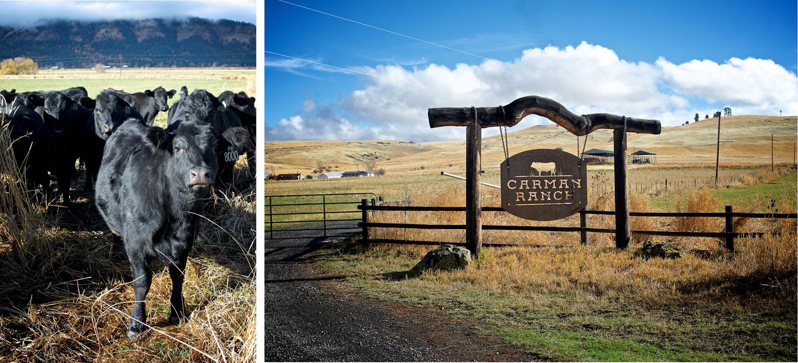 Carmen Ranch