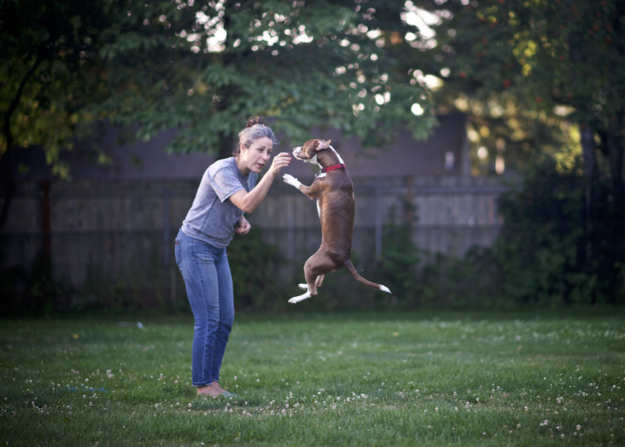 Pet Project